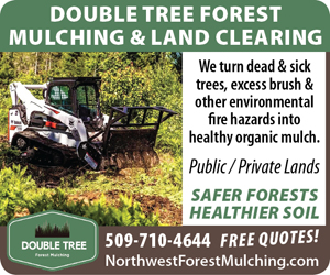 Double Tree Forest - 424010