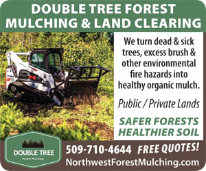 433019 - Double Tree Forest