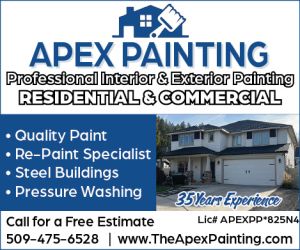 486285 - Apex Painting