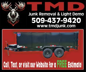 486953 - Timber Moose