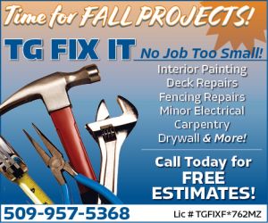 488534 - TG Fix It