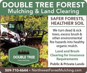 487956 - Double Tree Forest