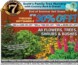 486954 - Scotts family tree