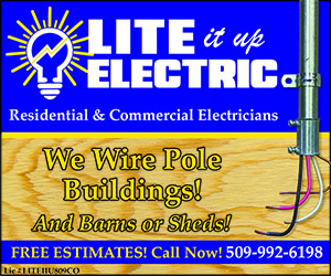 446184 - Lite It Up Electric