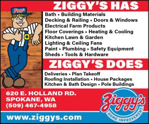 489829 - Ziggys 