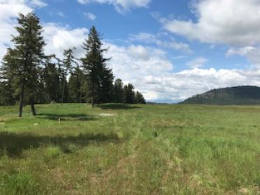 21 ACRE HORSE PROPERTY JUST 3 MILES WEST OF LOON LAKE