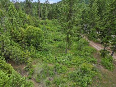 PRIME BUILDING LOT WITHIN WALKING DISTANCE TO DEER LAKE
