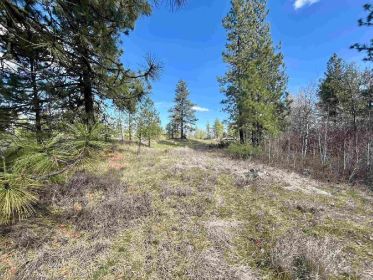 SECLUDED 10 ACRES WTH LAKE ACCESS