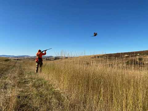 DOUBLE BARREL RANCH THE FINEST UPLAND BIRD HUNTING DOUBLE BARREL RANCH THE FINEST UPLAND BIRD HUNTING
