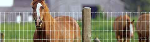 LIVESTOCK & WILDLIFE FENCING EXPERTS