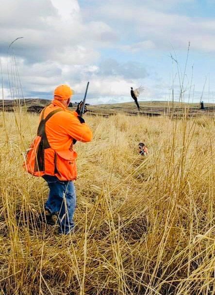 DOUBLE BARREL RANCH THE FINEST UPLAND BIRD HUNTING DOUBLE BARREL RANCH THE FINEST UPLAND BIRD HUNTING