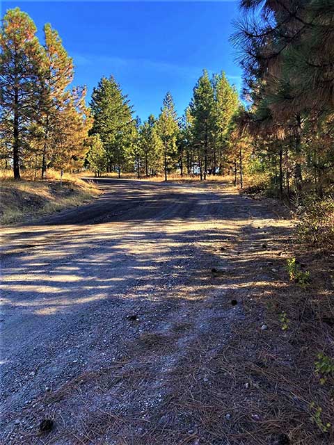 $150,000 CHATTAROY GRANDVIEW ESTATES 10 ACRES! $150,000 CHATTAROY GRANDVIEW ESTATES 10 ACRES!
