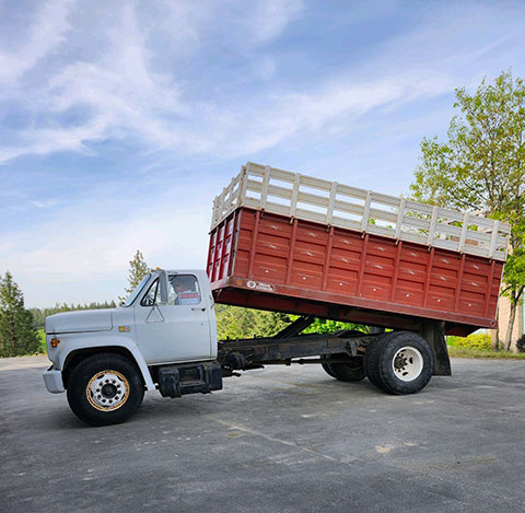 1980 CHEV TRUCK 