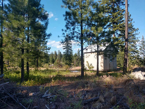 LOOKING FOR HUNTING OR RECREATIONAL PROPERTY? 