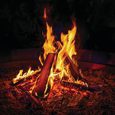 CAMPFIRE/ FIRE PIT FIREWOOD