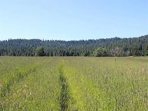 PRIVATE COUNTRY ESCAPE, 20 ACRES WITH PANORAMIC VIEWS