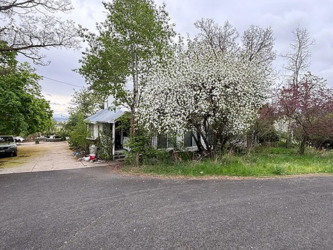 CLASSIC DEER PARK 52 ACRE FARMSTEAD, FULL OF POTENTIAL!