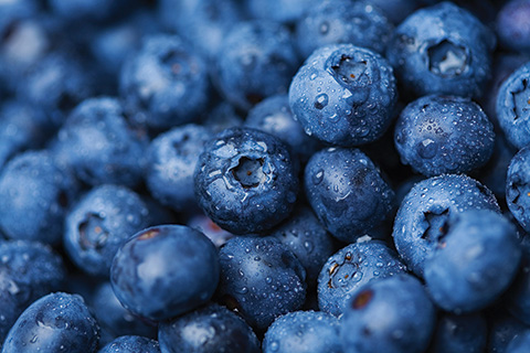 BLUEBERRIES ARE HERE! 