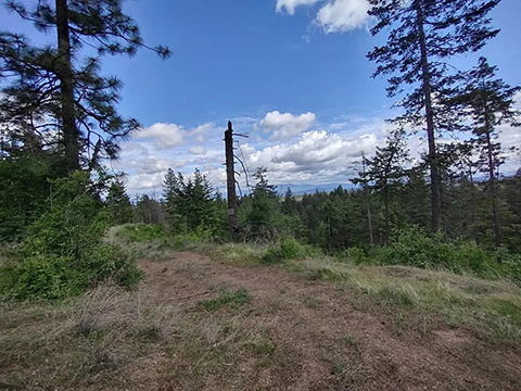 40 ACRES WITH GORGEOUS PANORAMIC VIEWS FROM MULTIPLE