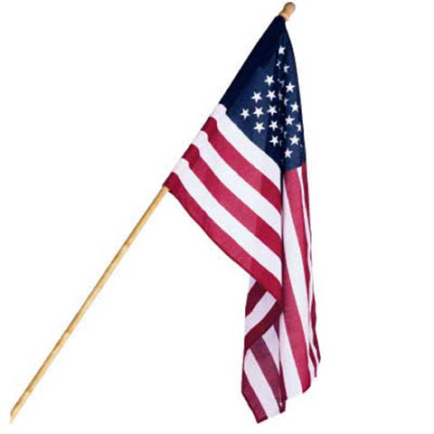 FLAG & POLE SET $15.99