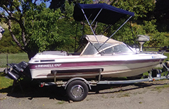 FAMILY FISHING/ SKIING BOAT