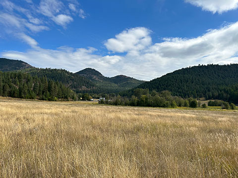 TWO CREEKS MERGE ON THIS 23 ACRE PARCEL