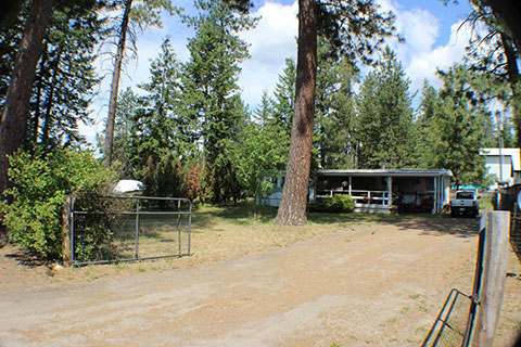 LOON LAKE HOME ON 1/4 ACRE WITH MORGAN PARK ACCESS