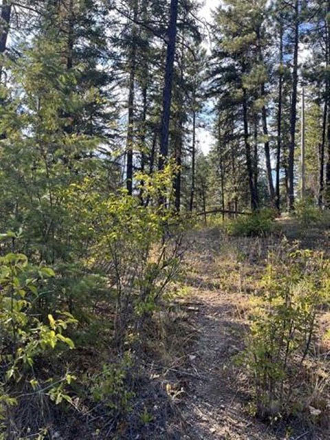 MAKE THIS BEAUTIFUL PROPERTY YOUR OWN!