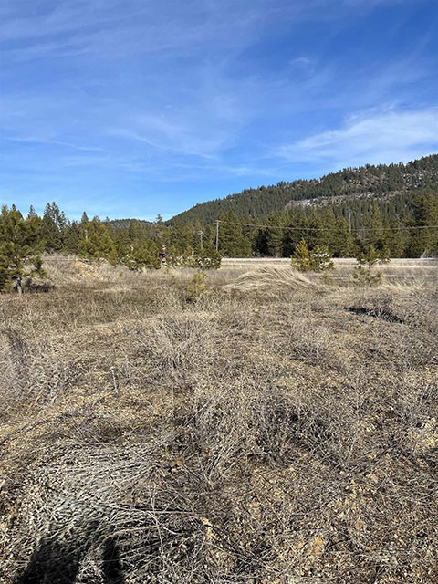 PARTIALLY TREED FLAT 3.25 ACRES