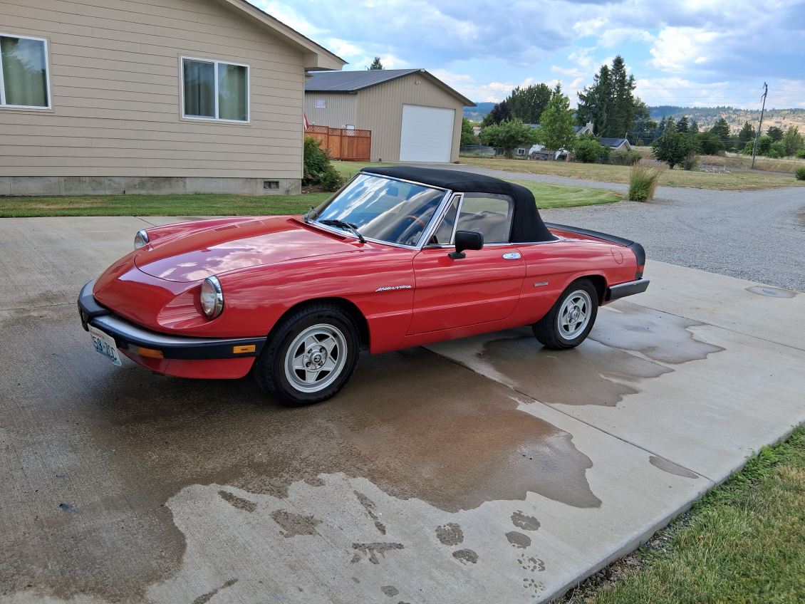 1987 ALFA ROMEO SPIDER/ VELOCE