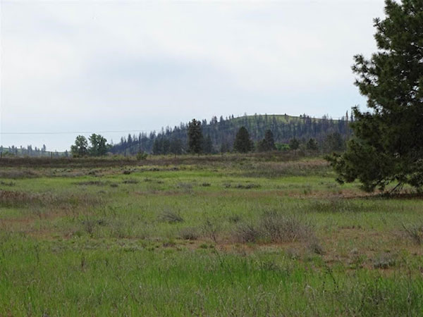 WHERE DO YOU FIND 22.14 ACRES OF BEAUTIFUL FLAT LUSH PASTURE