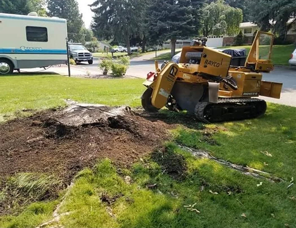 STUMP GRINDING