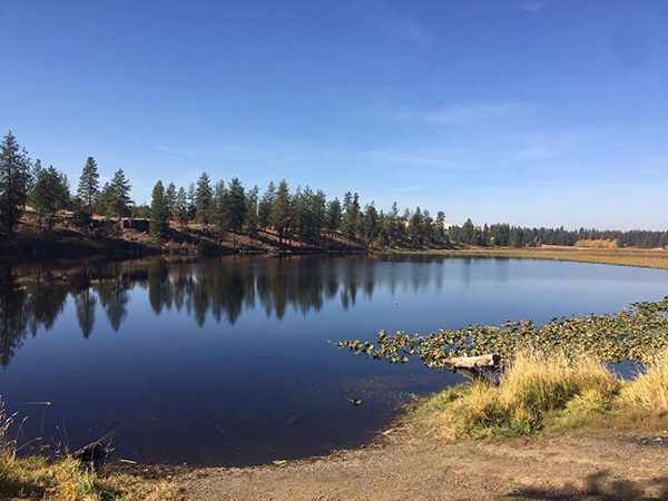 SECLUDED 10 ACRES WTH LAKE ACCESS