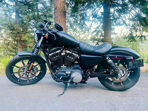 2021 HARLEY DAVIDSON IRON 883