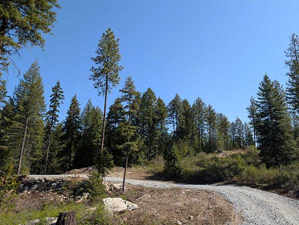 20 ACRE LOTS WITH 180 DEGREE VIEWS
