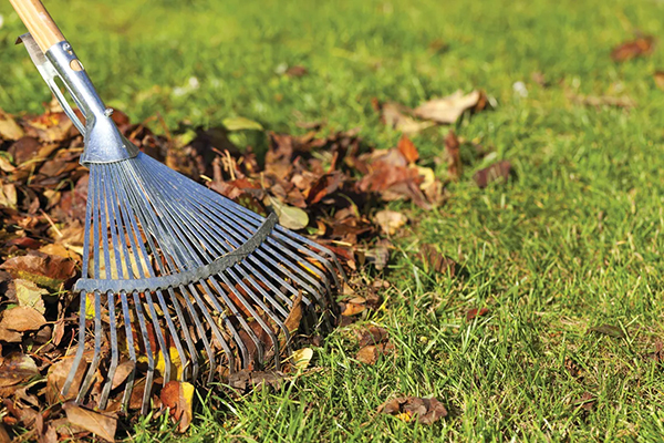 IT’S TIME FOR FALL YARD SERVICES!