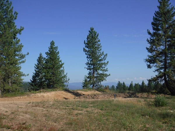 VIEWS, VIEWS, VIEWS! 19+ ACRES, LOON LAKE
