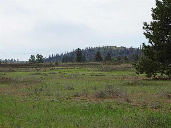 WHERE DO YOU FIND 22.14 ACRES OF BEAUTIFUL FLAT LUSH PASTURE