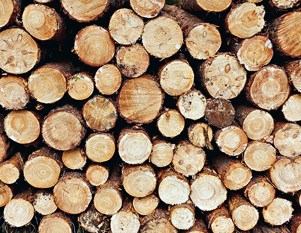 FIREWOOD