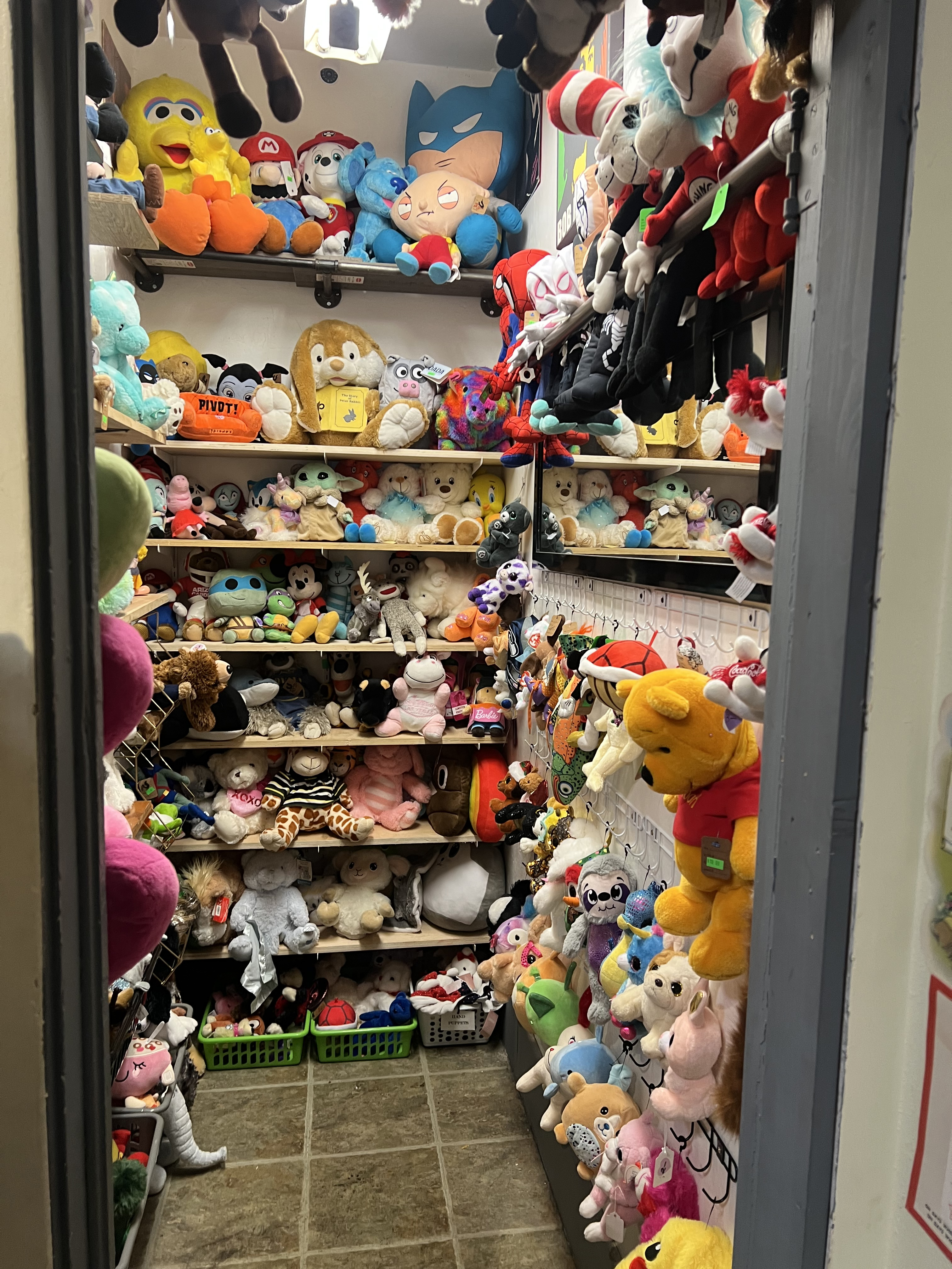 COME & CHECK OUT OUR PLUSH ROOM AT THE TROVE