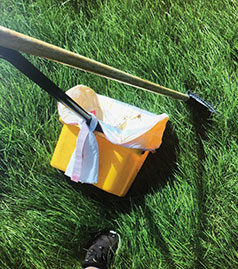 SERVING LC VALLEY FOR 8 YEARS LC VALLEY POOPER SCOOPER IS