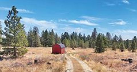 11.94 ACRES NEAR AMBER & WILLIAMS LAKES, CLOSE TO CHENEY