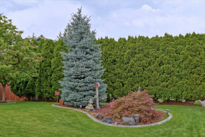 ABSOLUTELY STUNNING 4-LEVEL GEM IN HEART OF INDIAN TRAIL!