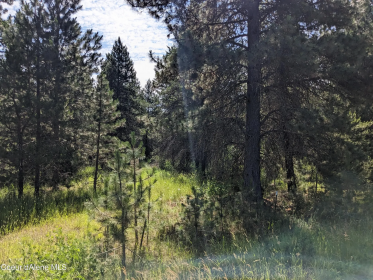 ATHOL: 5 ACRES, READY TO BUILD WITH NO CC&R's!    $315,000