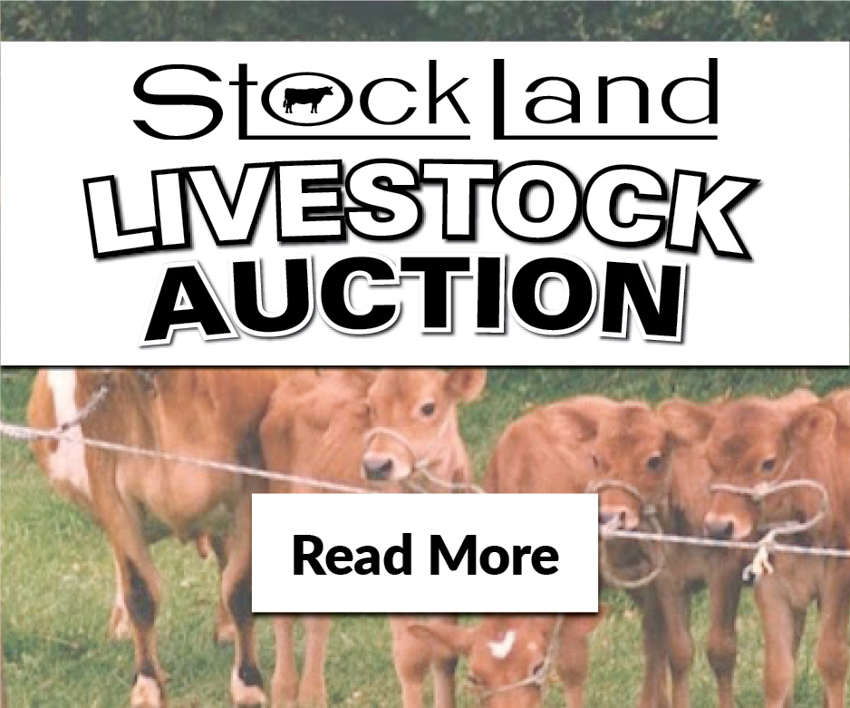 LIVESTOCK AUCTION EVENTS