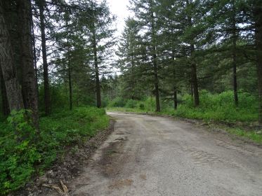 THREE 7 ACRE LOTS IN VALLEY, WASHINGTON