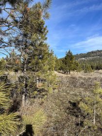 LOOKING FOR A UNIQUE ACREAGE MINUTES FROM LAKES?