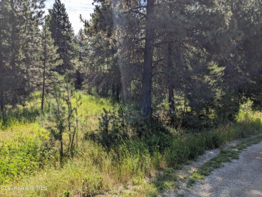 ATHOL: 5 ACRES, READY TO BUILD WITH NO CC&R's!    $315,000