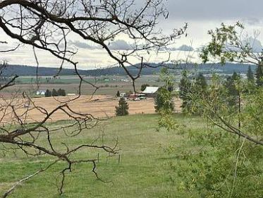CLASSIC DEER PARK 52 ACRE FARMSTEAD, FULL OF POTENTIAL!