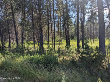 ATHOL: 5 ACRES, READY TO BUILD WITH NO CC&R's!    $315,000